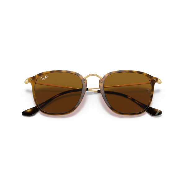 RB 2448N 710 51 Ray-Ban Güneş Gözlüğü