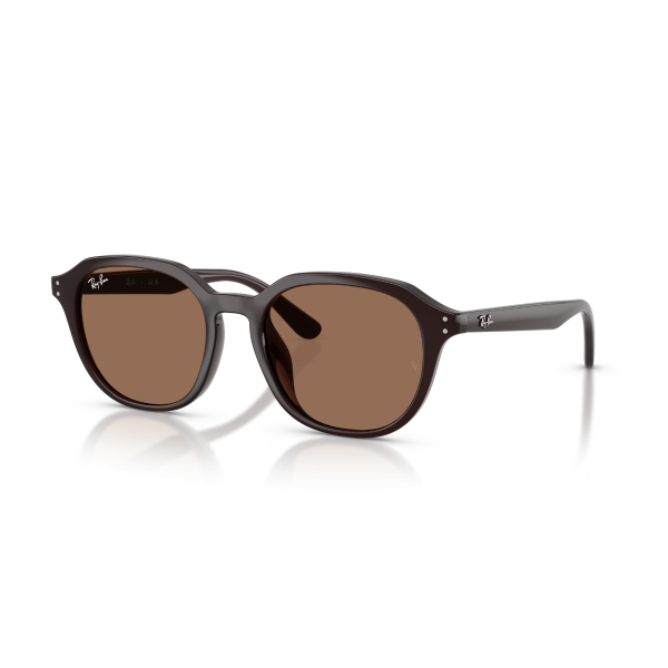 RB 4459D 623173 54 Ray-Ban Güneş Gözlüğü