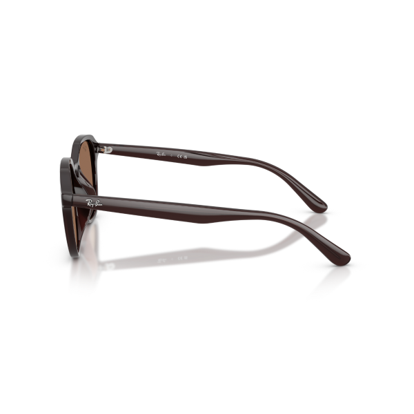 RB 4459D 623173 54 Ray-Ban Güneş Gözlüğü