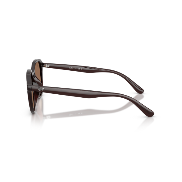 RB 4459D 623173 54 Ray-Ban Güneş Gözlüğü