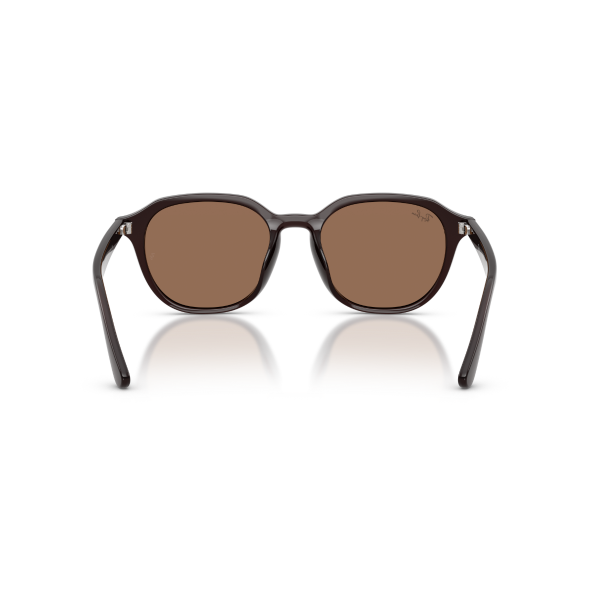 RB 4459D 623173 54 Ray-Ban Güneş Gözlüğü