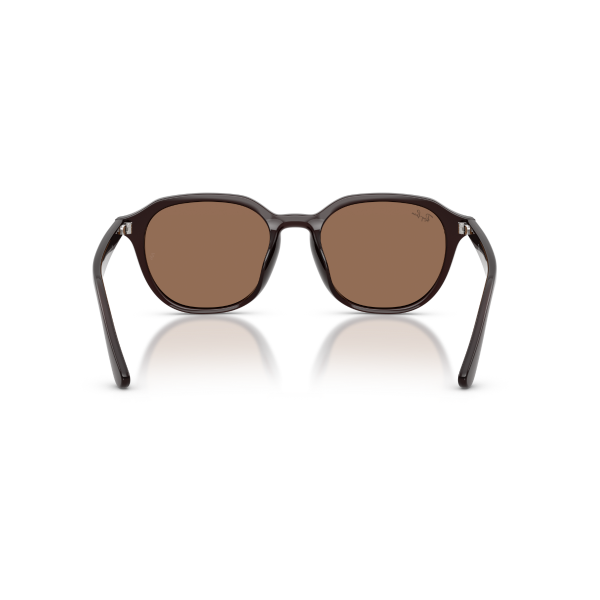 RB 4459D 623173 54 Ray-Ban Güneş Gözlüğü