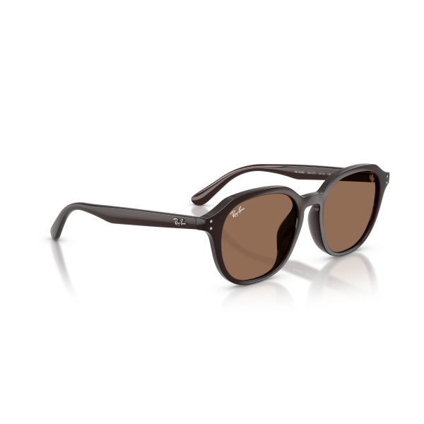 RB 4459D 623173 54 Ray-Ban Güneş Gözlüğü