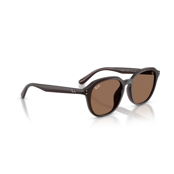 RB 4459D 623173 54 Ray-Ban Güneş Gözlüğü