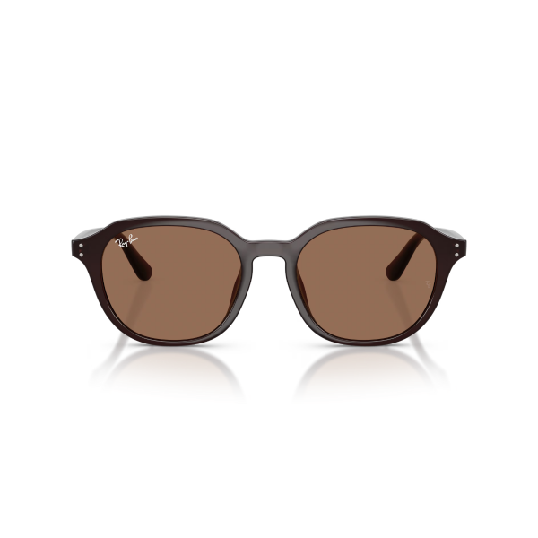 RB 4459D 623173 54 Ray-Ban Güneş Gözlüğü