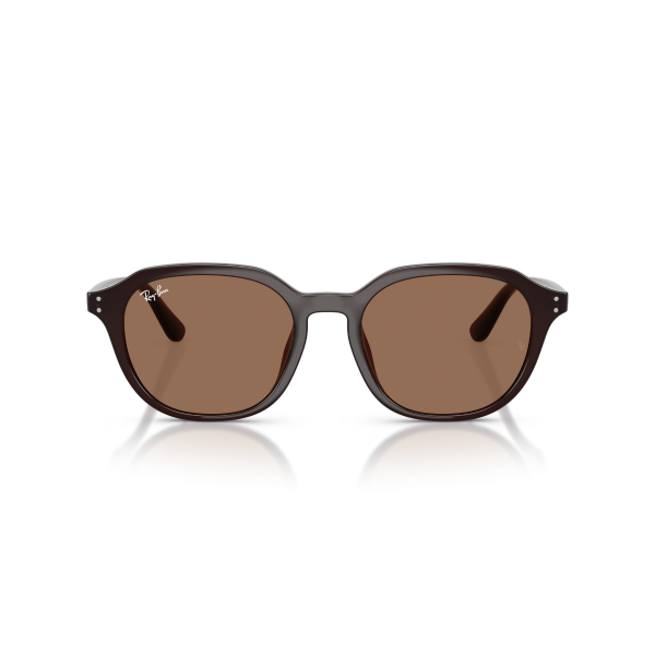 RB 4459D 623173 54 Ray-Ban Güneş Gözlüğü