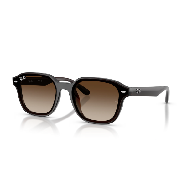RB 4458D 714/13 65 Ray-Ban Güneş Gözlüğü