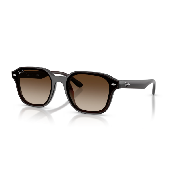 RB 4458D 714/13 65 Ray-Ban Güneş Gözlüğü