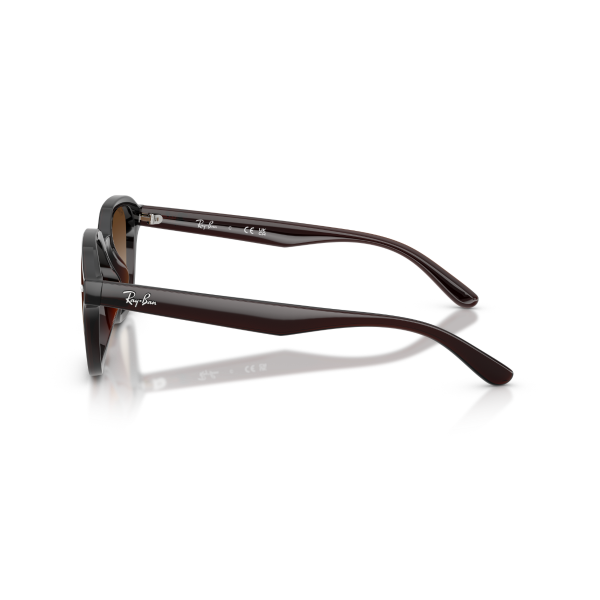 RB 4458D 714/13 65 Ray-Ban Güneş Gözlüğü