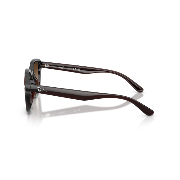 RB 4458D 714/13 65 Ray-Ban Güneş Gözlüğü