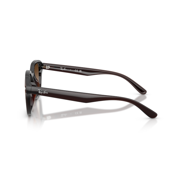RB 4458D 714/13 65 Ray-Ban Güneş Gözlüğü