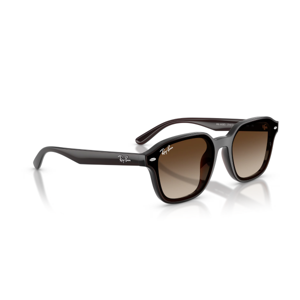 RB 4458D 714/13 65 Ray-Ban Güneş Gözlüğü