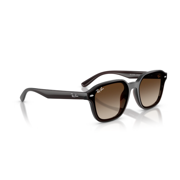 RB 4458D 714/13 65 Ray-Ban Güneş Gözlüğü