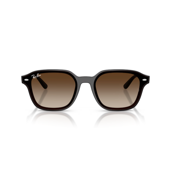 RB 4458D 714/13 65 Ray-Ban Güneş Gözlüğü