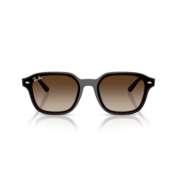 RB 4458D 714/13 65 Ray-Ban Güneş Gözlüğü