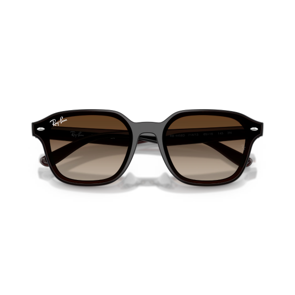 RB 4458D 714/13 65 Ray-Ban Güneş Gözlüğü