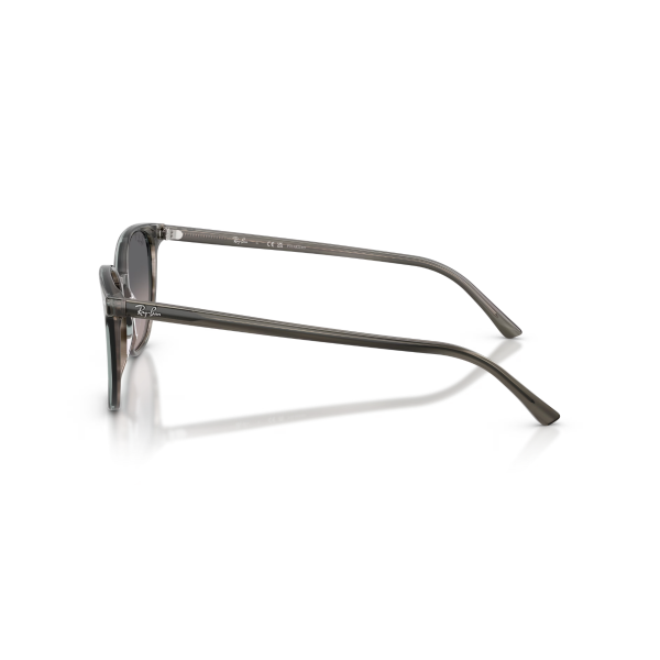 RB 2197 1438M3 52 Ray-Ban ELLIOT Polarize Güneş Gözlüğü