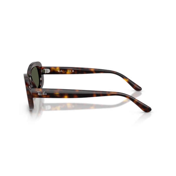 RB 2221 902/31 53 Ray-Ban Güneş Gözlüğü