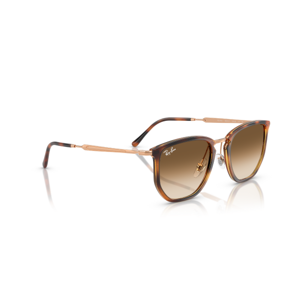 RB 4451 680451 50 Ray-Ban Güneş Gözlüğü