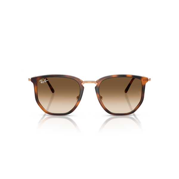 RB 4451 680451 50 Ray-Ban Güneş Gözlüğü