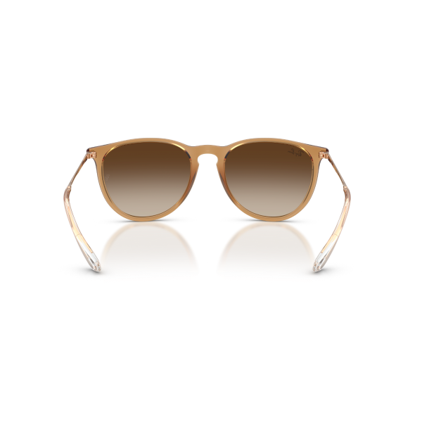 RB 4171 681413 54 Ray-Ban ERIKA Güneş Gözlüğü