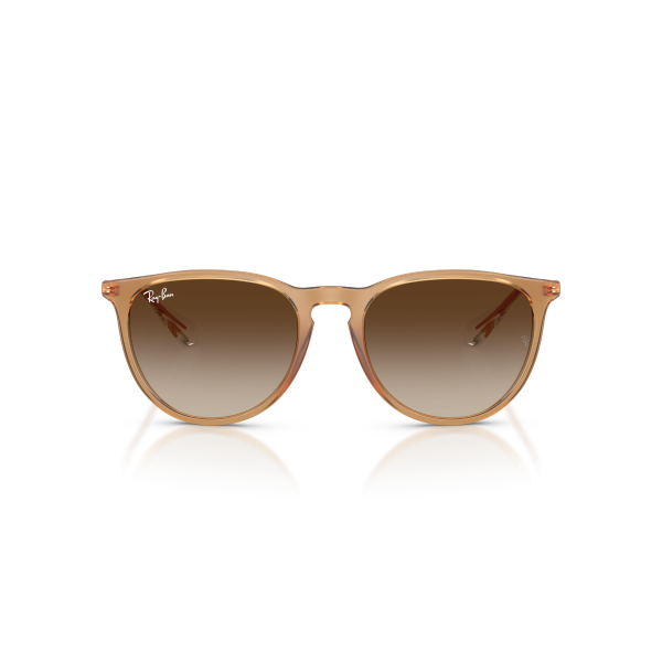 RB 4171 681413 54 Ray-Ban ERIKA Güneş Gözlüğü