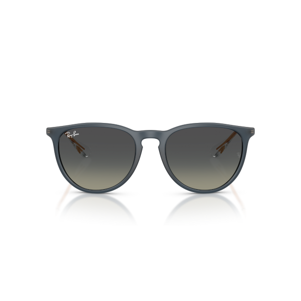 RB 4171 681311 54 Ray-Ban ERIKA Güneş Gözlüğü