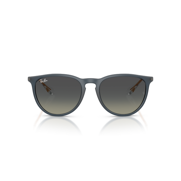 RB 4171 681311 54 Ray-Ban ERIKA Güneş Gözlüğü