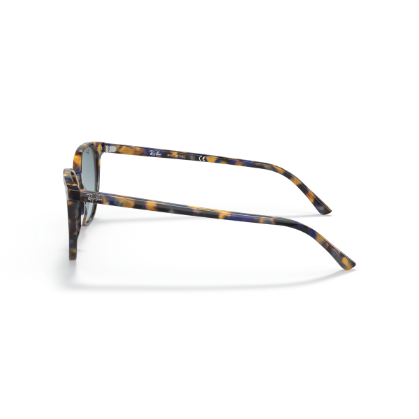 RB 2197 13563M 54 Ray-Ban ELLIOT Güneş Gözlüğü