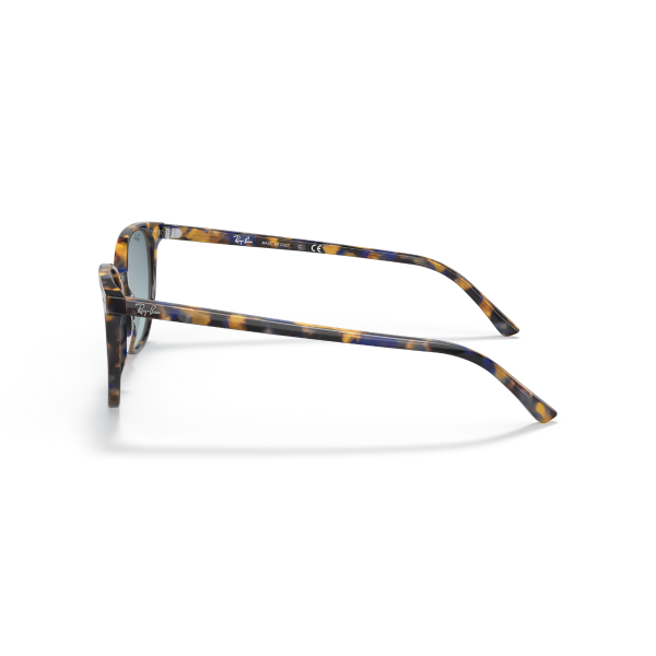 RB 2197 13563M 54 Ray-Ban ELLIOT Güneş Gözlüğü