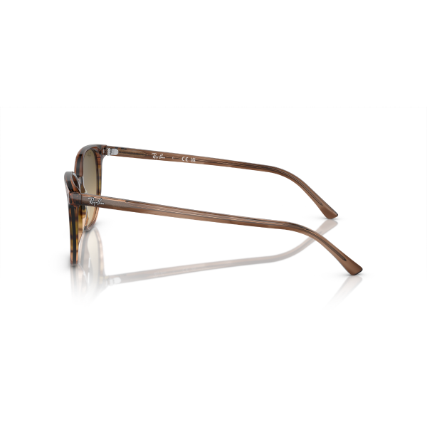 RB 2197 13920A 52 Ray-Ban ELLIOT Güneş Gözlüğü