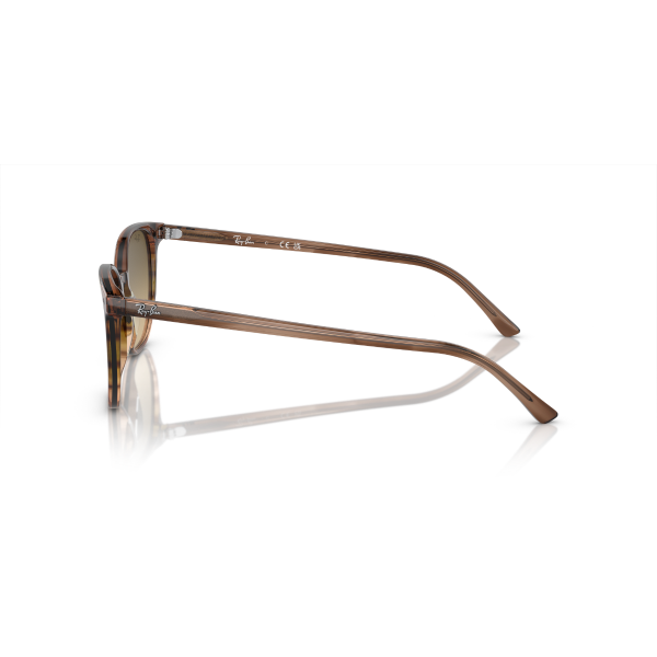 RB 2197 13920A 52 Ray-Ban ELLIOT Güneş Gözlüğü