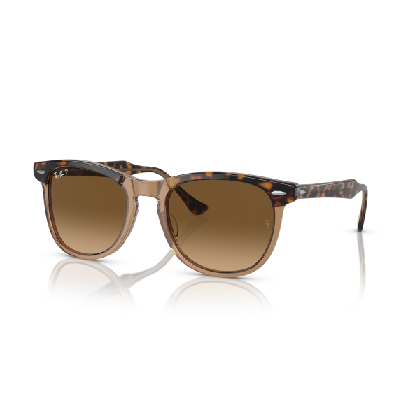 RB 2398 1292M2 53 Ray-Ban EAGLE EYE Polarize Güneş Gözlüğü