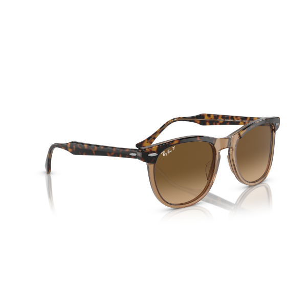 RB 2398 1292M2 53 Ray-Ban EAGLE EYE Polarize Güneş Gözlüğü