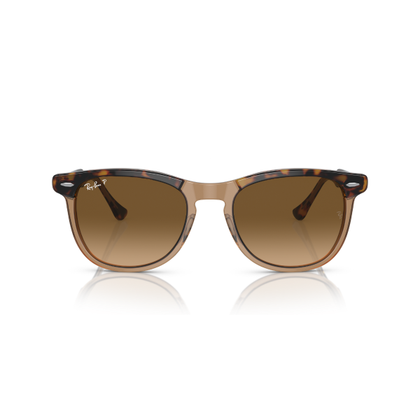 RB 2398 1292M2 53 Ray-Ban EAGLE EYE Polarize Güneş Gözlüğü
