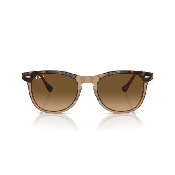 RB 2398 1292M2 53 Ray-Ban EAGLE EYE Polarize Güneş Gözlüğü