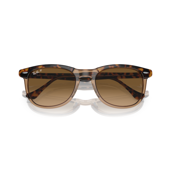 RB 2398 1292M2 53 Ray-Ban EAGLE EYE Polarize Güneş Gözlüğü