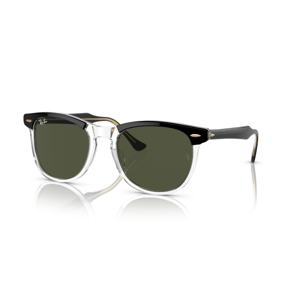 RB 2398 129431 53 Ray-Ban EAGLE EYE Güneş Gözlüğü