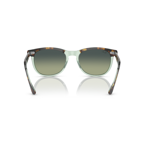 RB 2398 1376BH 53 Ray-Ban EAGLE EYE Güneş Gözlüğü