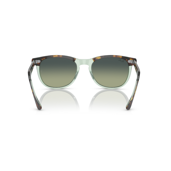 RB 2398 1376BH 53 Ray-Ban EAGLE EYE Güneş Gözlüğü