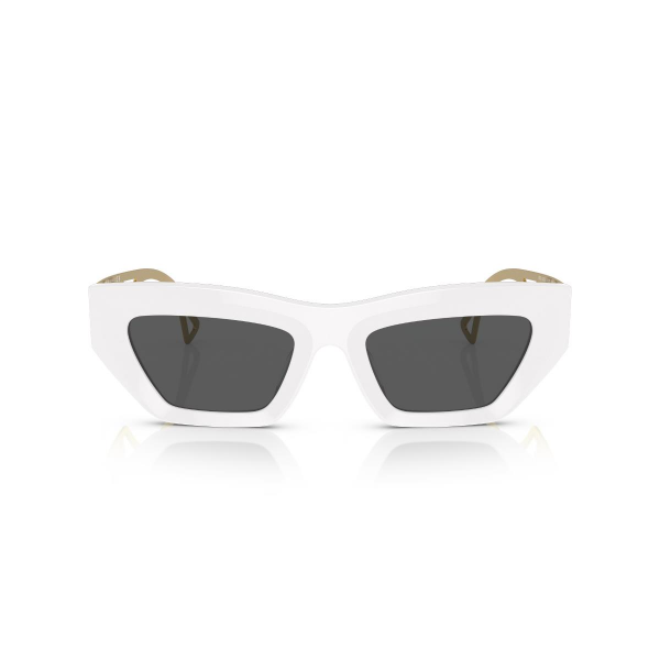 VE 4432U 401/87 53 Versace Güneş Gözlüğü
