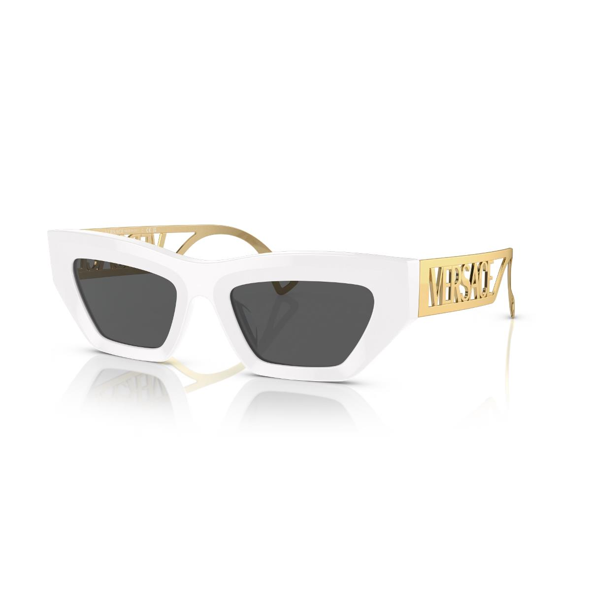 VE 4432U 401/87 53 Versace Güneş Gözlüğü