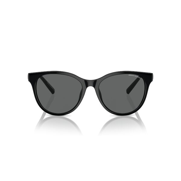 AX 4144SU 815887 54 Armani Exchange Güneş Gözlüğü