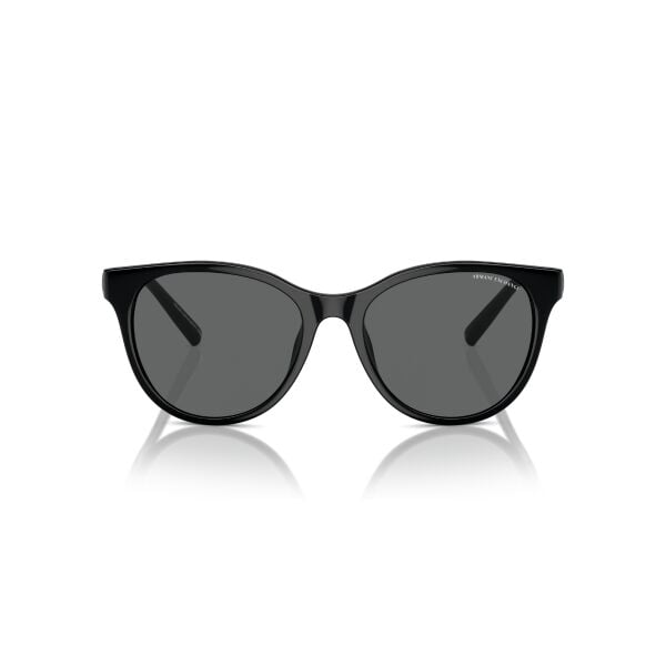 AX 4144SU 815887 54 Armani Exchange Güneş Gözlüğü