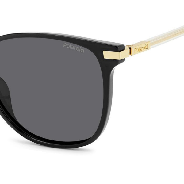 PLD 4170/G/S/X 2F7M9 Polaroid Polarize Güneş Gözlüğü