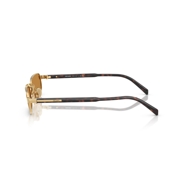 PR B54S 5AK50P 54 Prada Güneş Gözlüğü