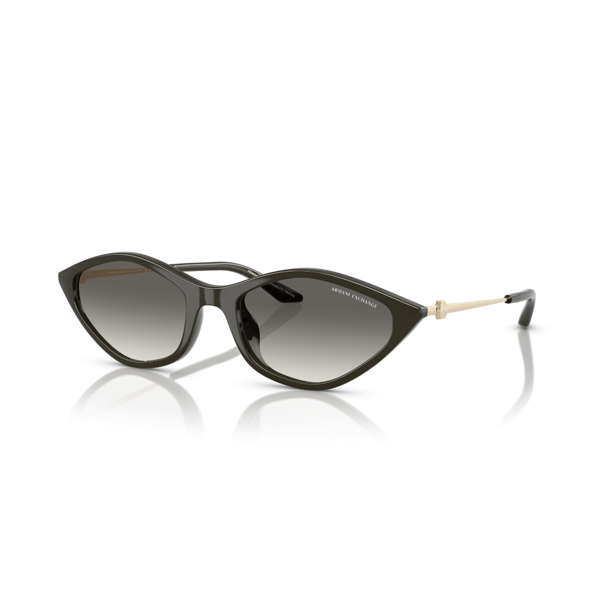 AX 4152SU 836711 55 Armani Exchange Güneş Gözlüğü