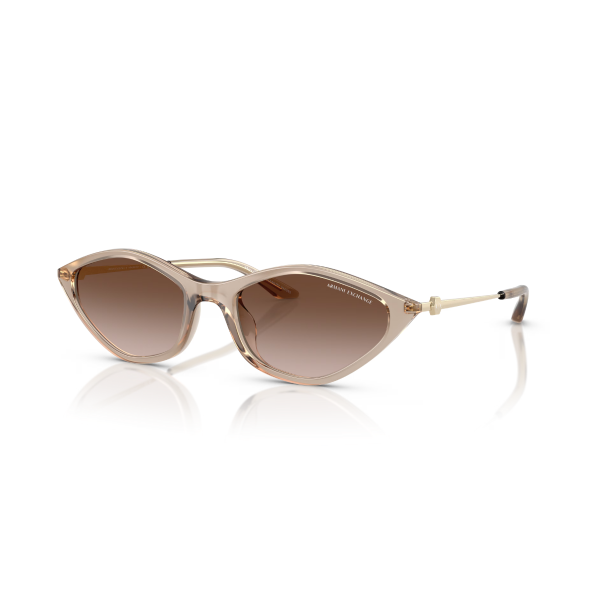 AX 4152SU 836613 55 Armani Exchange Güneş Gözlüğü