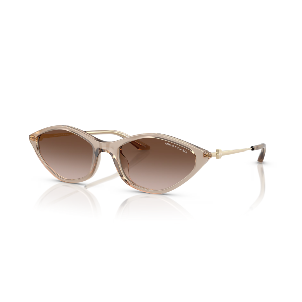 AX 4152SU 836613 55 Armani Exchange Güneş Gözlüğü