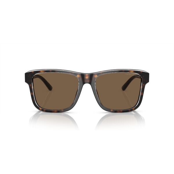 EA 4208 605273 56 Emporio Armani Güneş Gözlüğü